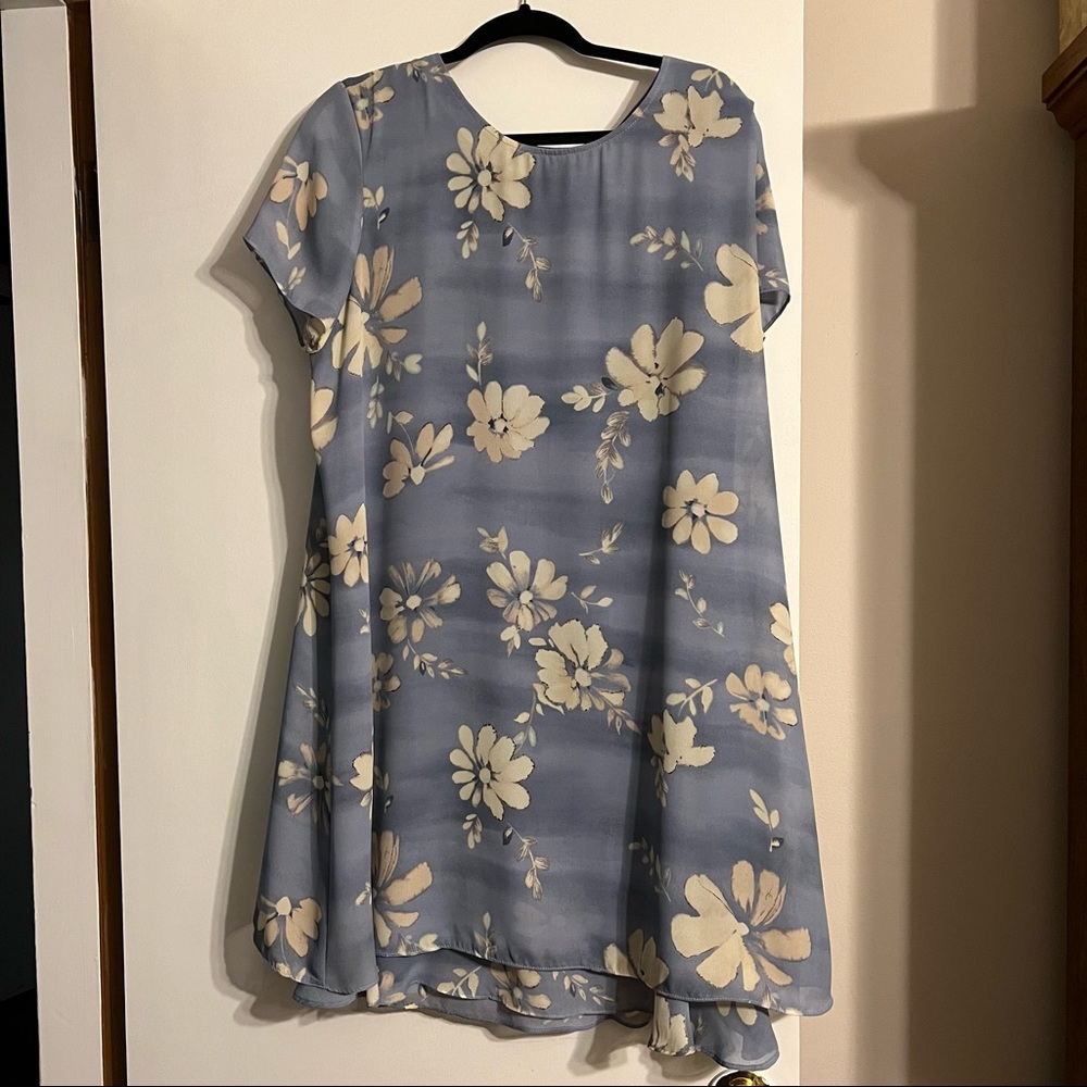 Appropriate behavior woman’s dress in size 16